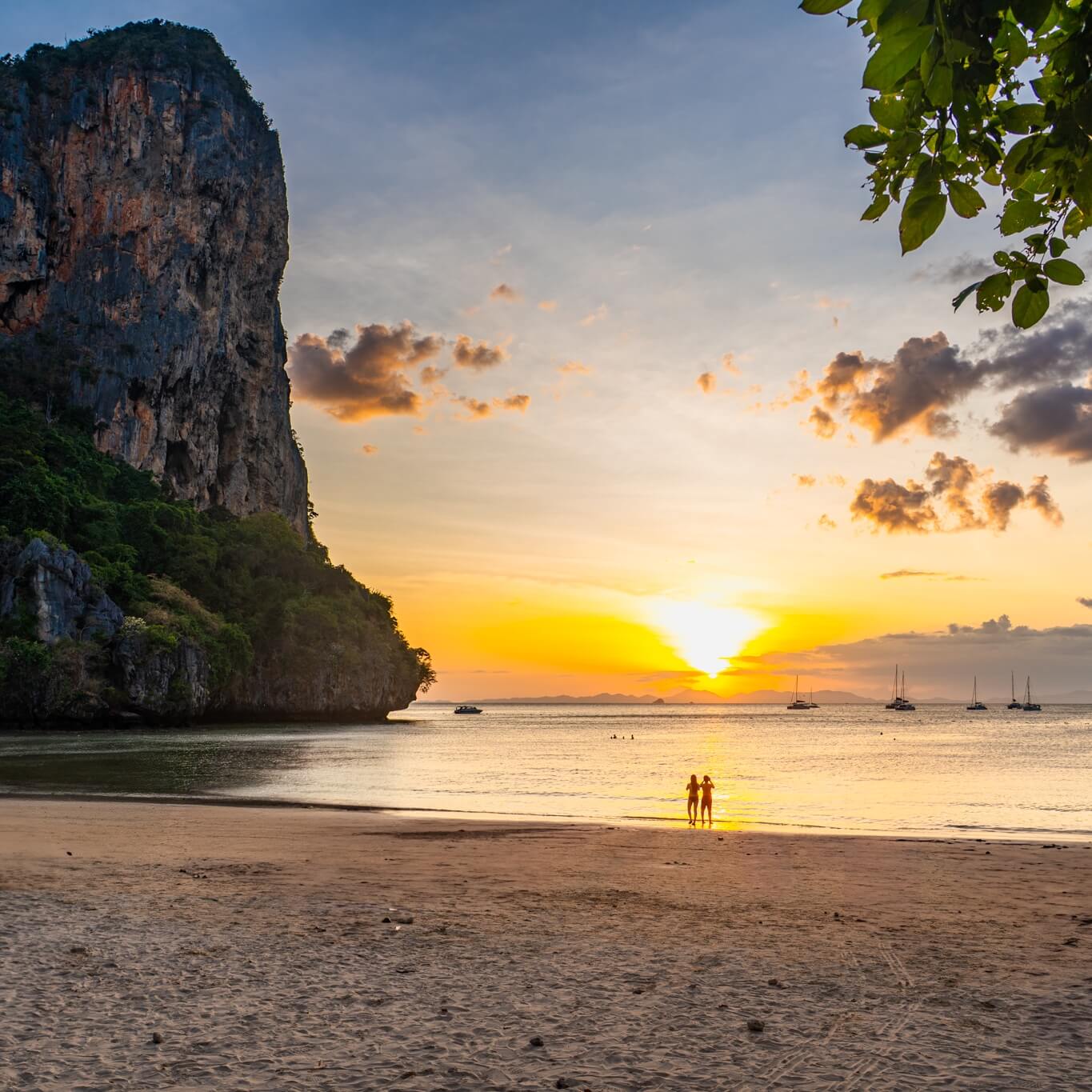 Phi Phi Island Travel Guide 2026: Best Things to Do, Budget & Tips